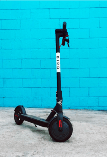 Bird scooter on bright blue background.