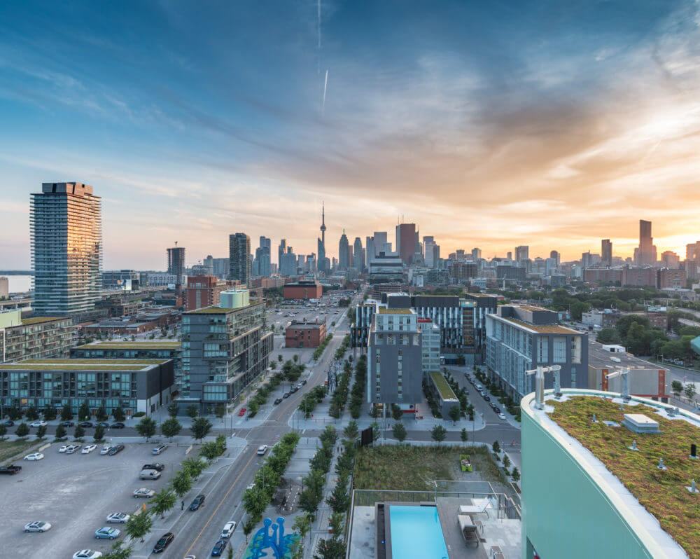 Green roofs at the Canary District with sunset skyline of downtown Toronto in the background.
